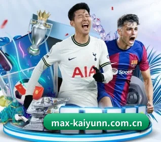 max-kaiyunn.com.cn APP 界面